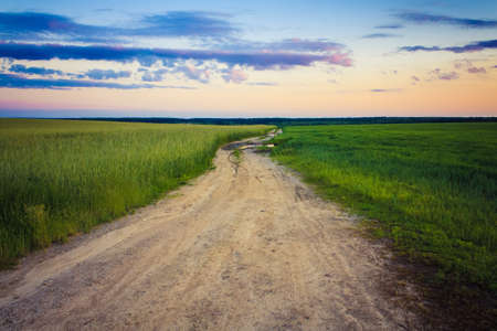 Dirty rural road in countrysideの写真素材