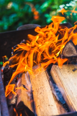 Hot, Red Burning Firewood Of Campfireの写真素材