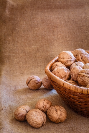 Unshelled walnut lying on sackclothの写真素材