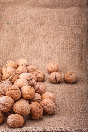 Unshelled walnut lying on sackclothの写真素材