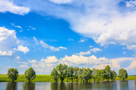 Summer Landscape With River And Blue Sky.の写真素材