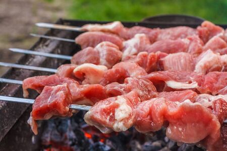 Juicy slices of meat with sauce prepare on fire (shish kebab).の写真素材