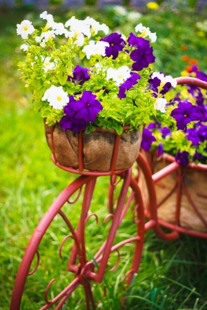 Decorative Model Of An Old Bicycle Equipped With Basket Of Flowers.の写真素材
