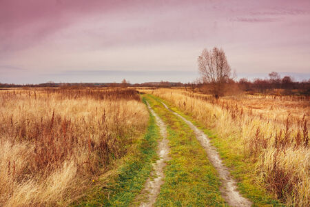 Empty Countryside Road Through Fields With Dry Yellow Grassの写真素材