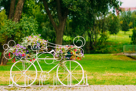 Decorative Vintage Model Of Old Bicycle Equipped With Basket Of Flowers. Toned photo. White Bike Parking With Flower Bed In Summer Dayの写真素材