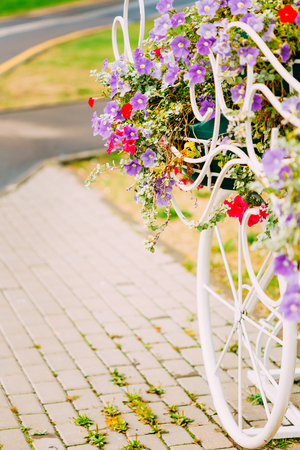 Decorative Vintage Model Of Old Bicycle Equipped With Basket Of Flowers. Toned photo. White Bike Parking With Flower Bed In Summer Dayの写真素材
