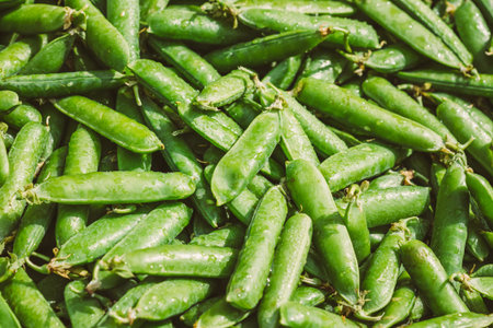 Fresh Vegetable Organic Green Beans Background. Production Of Local Food Market. Toned Instant Photoの写真素材