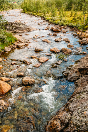 Norway Nature River. Sunny Summer Day, Landscape With Mountain, Pure Cold Water River, Pondの写真素材