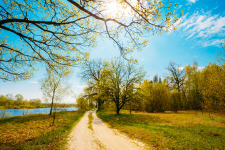 Spring Time In Countryside. Green Young Grass, Trees On Blue Sky Background