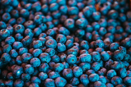 Fresh Fruit Beryy Blueberries Background Blue Texture. Production Of Local Food Market