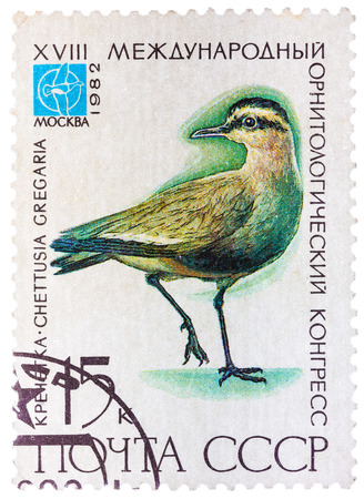 USSR - CIRCA 1982: A stamp printed in USSR (Russia) shows a bird Chettusia gregaria with the inscription and name of series "XVIII International Ornithological Congress, Moscow, 1982", circa 1982のeditorial素材