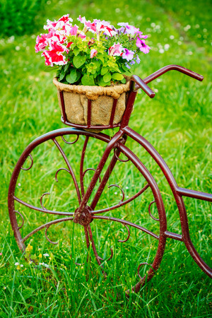 Decorative Vintage Model Old Bicycle Equipped Basket Flowers Garden. Toned Photo.の写真素材