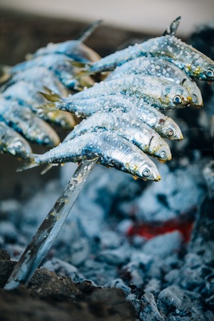Fish Espetos preparation. Espetos - skewer with sardines in a fire. Spanish cuisine.の写真素材