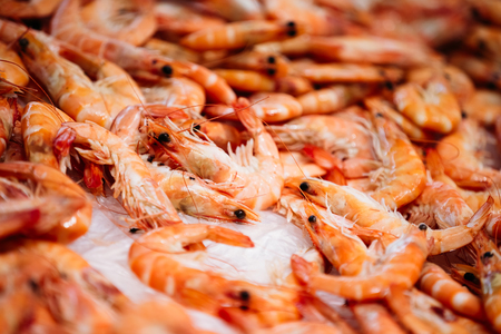 Close fresh raw shrimps on display on ice on fishermen market store shop. Shrimps - an important part of Spanish cuisine.の写真素材