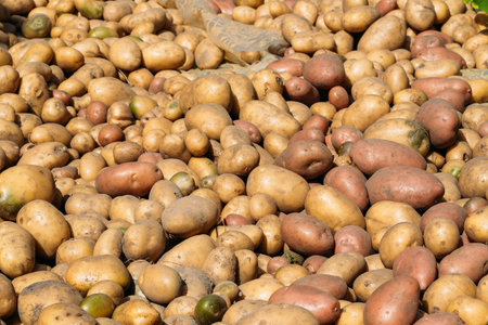 Organic Brown Potatoes On Local Agricultural Vegetable Market.