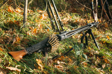 German military ammunition - machine gun of World War II on grass ground