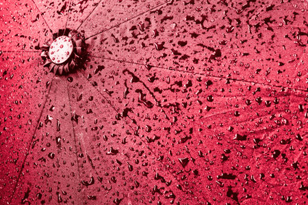 Red Umbrella Background In Wet Rain Drops. Backgroundの写真素材
