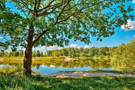 River Landscape With Green Forest Woods On Coast And Reflections Of Trees In Water. Summer Sunny Day. Blue Sky. Nobody. Oak Tree On Foreground.の写真素材