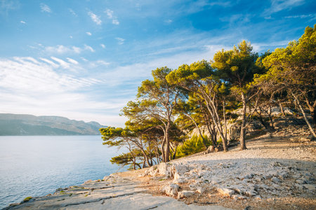 Beautiful nature of Calanques on the azure coast of France. Calanques - a deep bay surrounded by...