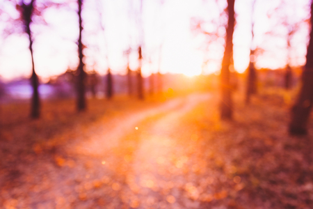 Abstract Autumn Summer Natural Blurred Forest Background. Bokeh, Boke Woods With Sunlight, Red and Yellow Warm Colors of Nature.の写真素材