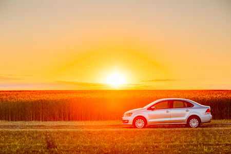 Gomel, Belarus - June 6, 2016: Volkswagen Polo Car Parking On Wheat Field. Sunset Sunrise Dramatic Sky On A Background In Sunny Evening.のeditorial素材