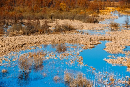 Spills Of River In Spring Season In Belarus. Sunny Spring Day. Belarusian Beautiful Landscape.の写真素材