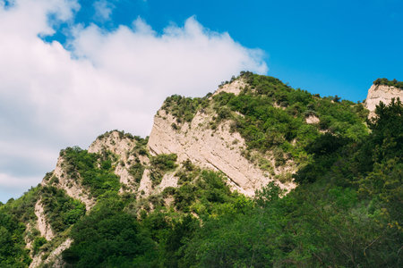 Mtskheta, Georgia. The View Of White Limestone Mountaintop Overgrown With Dense Green Vegetation In...