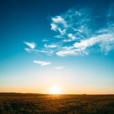 Sunset, Sunrise, Sun Over Rural Countryside Field. Bright Blue Aの写真素材