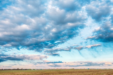 Field Landscape Under Scenic Spring Blue Dramatic Sky With White Fluffy Clouds. Skyline.の写真素材
