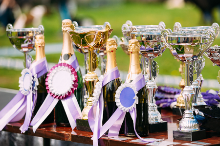 Champion Trophies. Winners Cups. Trophyの写真素材