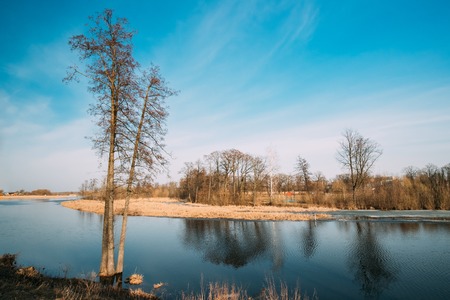 Spring Nature. Trees Woods Standing In Water During A Spring Floodの写真素材