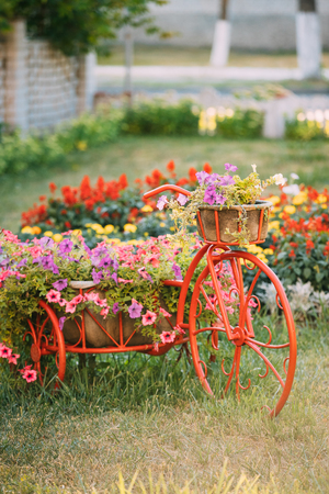 Decorative Vintage Model Old Bicycle Equipped Basket Flowers Garden. Toned Photo.の写真素材