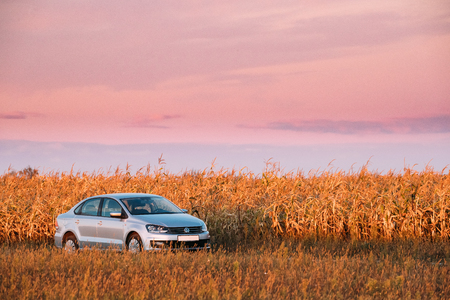 Gomel, Belarus - September 14, 2016: Volkswagen Polo Vento Car Sedan Parking Near Country Road In Autumn Field. Sunset Sunrise Sky On A Background In Sunny Evening.のeditorial素材