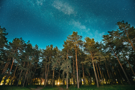 Green Trees Woods In Park Under Night Starry Sky With Milky Way Galaxyの写真素材