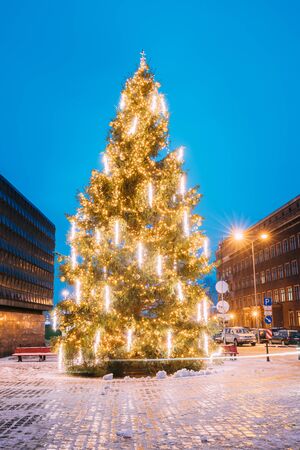 Riga, Latvia - December 14, 2016: Xmas Christmas Tree In Town Hall Square At Evening In Night Illuminations Lights. Famous Place At Winter New Year Holiday Evening.のeditorial素材