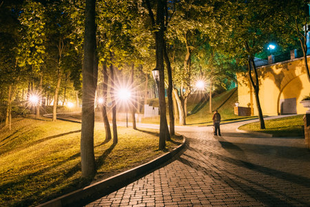 Gomel, Homiel, Belarus. Lighted Walkways Or Roads, Greenwood At Night In City Park. Popular Place For Tourists And Locals In Gomel, Belarus.の写真素材