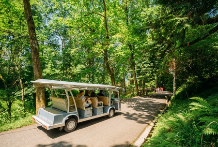 Batumi, Adjara, Georgia - May 27, 2016: Tourists People Go On The Passing Electric Car For Exploring And Sightseeing Of The Botanical Garden. Tour In Sunny Summer Dayのeditorial素材