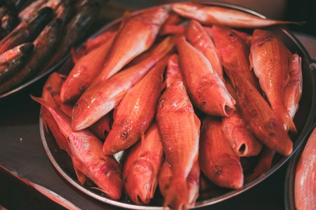 Fresh Fish On Display On Ice On Fishermen Market Store Shop. Seafoodの写真素材