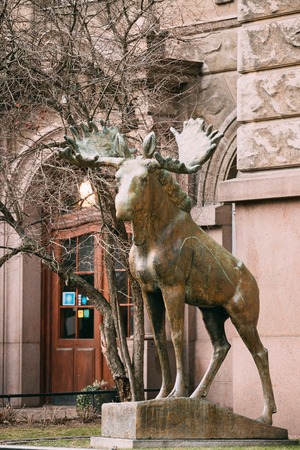 Helsinki, Finland - December 7, 2016: Statue Of Elk At Entrance In Natural History Museum Of Helsinki.のeditorial素材