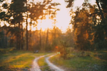 Abstract Autumn Blurred Forest Road At Sunset Or Sunrise Backgroundの写真素材