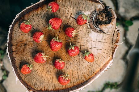 Strawberries. Ripe Strawberry Organic Berries. Juicy Fresh Ripeの写真素材