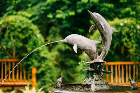 Fountain In The Form Of A Dolphin Statue In The Batumi Botanical Garden. Batumi, Adjara Georgia. Sunny Day At Summer Season.の写真素材