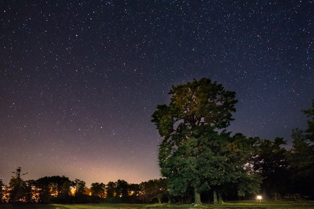 Milky Way Galaxy In Night Starry Sky Above Oak Tree In Summer Forest. Glowing Stars Above Landscape. View From Europe.の写真素材