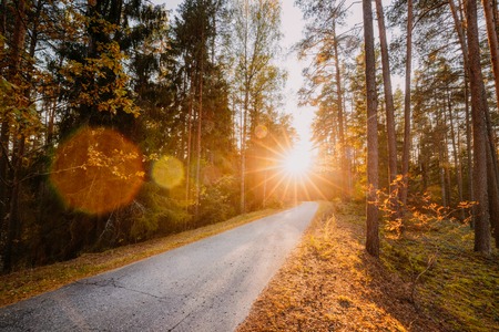 Winding Countryside Road Path Walkway Through Autumn Forest.の写真素材