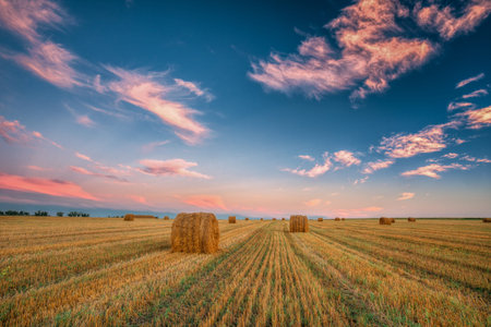 Rural Landscape Field Meadow With Hay Bales During Harvest In Su