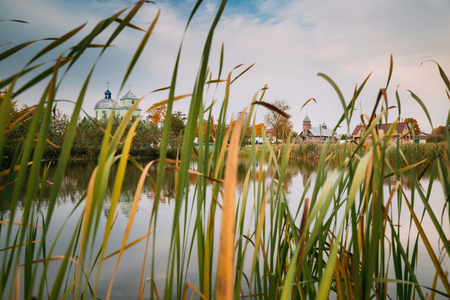 Porplishte, Dokshitsy District ,Vitsebsk Region, Belarus. Old Woの写真素材