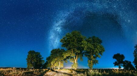 Panorama Milky Way Galaxy In Night Starry Sky Above Trees In Summer Forest. Glowing Stars Above Landscape. View From Europe.の写真素材