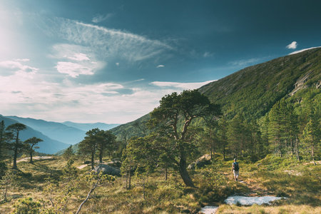 Kinsarvik, Hordaland, Norway. Young Woman Lady Tourist Traveler Backpacker Hiking In Hardangervidda...