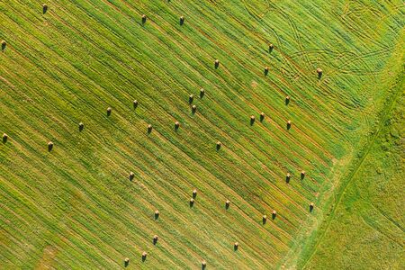 Aerial View of Summer Field Landscape With With Dry Hay Bales During Harvest. Trails Lines on Farmland. Top View Agricultural Landscape. Drone View. Bird's Eye View.の写真素材