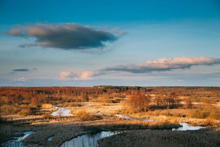 Beautiful Sunset Above Forest And River Landscape In Late Autumn Or Early Spring Season. Scenic View Of Evening Sky. Golden Colors Of European Natureの写真素材